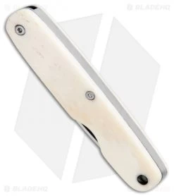 Knives Shop -Knives Shop Bear and Son One blade Pen White Smooth Bone WSB79 BHQ 107981 jr spine