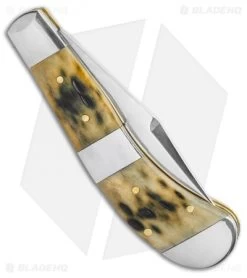 Case Bose Saddlehorn Olive Green Peach Seed Jig Bone (TB62110 SS) 8 Case Bose Saddlehorn Olive Green Peach Seed Jig Bone (TB62110 SS) -Knives Shop Case Bose Saddlehorn Olive Green Peach Seed Jig Bone TB62110 SS BHQ 115048 LS Side