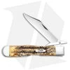 Case Cheetah Pocket Knife 4.375" 6.5 BoneStag (6.5111 1/2L SS) 65319 -Knives Shop Case Cheetah Pocket Bone Stag SS 65319 BHQ 108142 jr