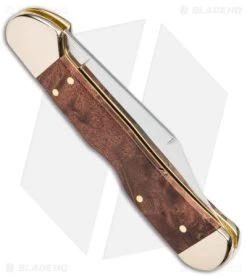 Case Mini CopperLock Knife 3.6" Brown Maple Burl Wood (71749L SS) 64067 -Knives Shop Case Mini CopperLock Brown Maple Burl Wood SS BHQ 140677 jr side