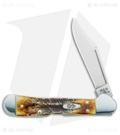 Case Mini CopperLock Knife 3.6" Case 6.5 BoneStag (6.51749L SS) 65327