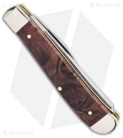 Case Mini Trapper Knife 3.5" Brown Maple Burl Wood (7207 SS) 64062 -Knives Shop Case Mini Trapper Brown Maple Burl Wood SS BHQ 140671 jr side