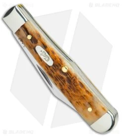 Case Small Swell Center Jack Knife 3" Amber Bone/Peach Seed Jig (6225 1/2 SS) -Knives Shop Case Small Swell Center Jack Amber Bone Peach Seed Jig SS BHQ 140637 jr spine