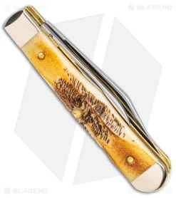 Case Small Swell Center Jack Knife 3" Case 6.5 BoneStag (6.5225 1/2 SS) 65326 8 Case Small Swell Center Jack Knife 3" Case 6.5 BoneStag (6.5225 1/2 SS) 65326 -Knives Shop Case Small Swell Center Jack Bone Stag SS BHQ 140673 jr side