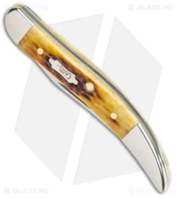 Case Small Texas Toothpick Knife 3" Rogers Corn Cob Jig (610096 SS) 52837 -Knives Shop Case Small Texas Toothpick 3in Rogers Corn Cob Jig SS BHQ 123432 jr spine