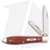 Case Teardrop 3.625" Smooth Chestnut Bone (TB62028 SS) 28905 2 Case Teardrop 3.625" Smooth Chestnut Bone (TB62028 SS) 28905 -Knives Shop Case Teardrop Smooth Chestnut Bone BHQ 81788 er