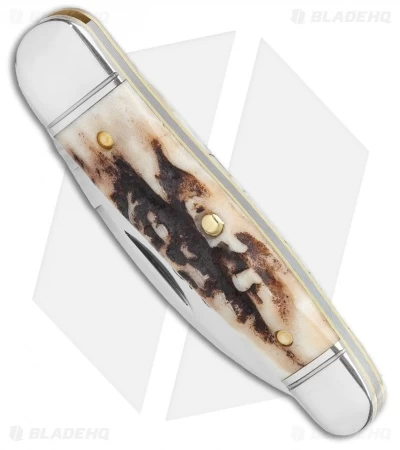 GEC Tidioute Cutlery Little Rattler Traditional Knife Sambar Stag (2" Satin) 4 GEC Tidioute Cutlery Little Rattler Traditional Knife Sambar Stag (2" Satin) - Image 2