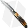 Case Folding Hunter Knife 5.25" Bone Stag (6.5265 SS) 03574 -Knives Shop case 03574 cm