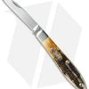 Case Teardrop Jack Knife 3.5" Bone Stag (6.51028 SS) 65308 -Knives Shop case 65308 cm